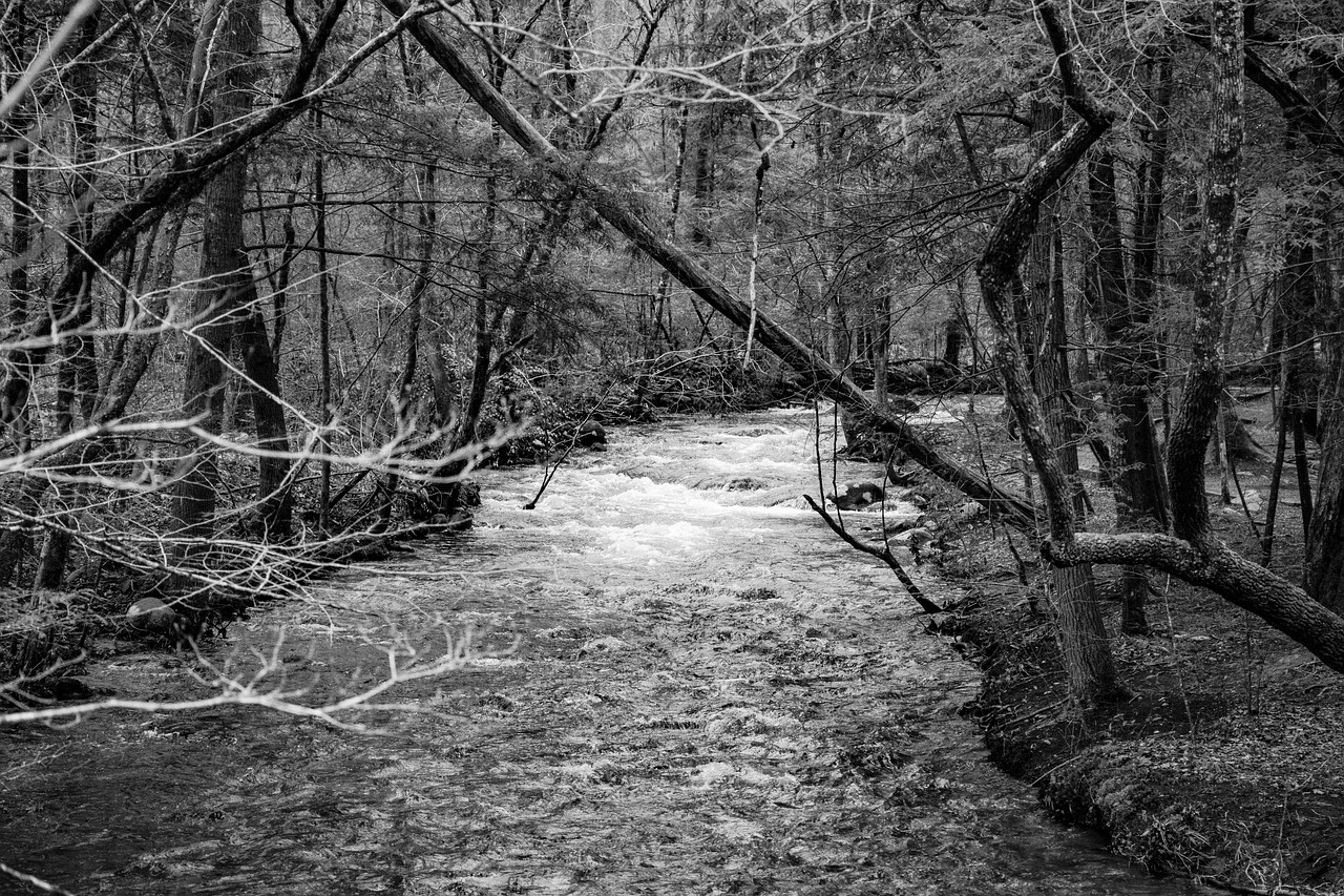 Hiking the Remote Trails of the Appalachian Mountains